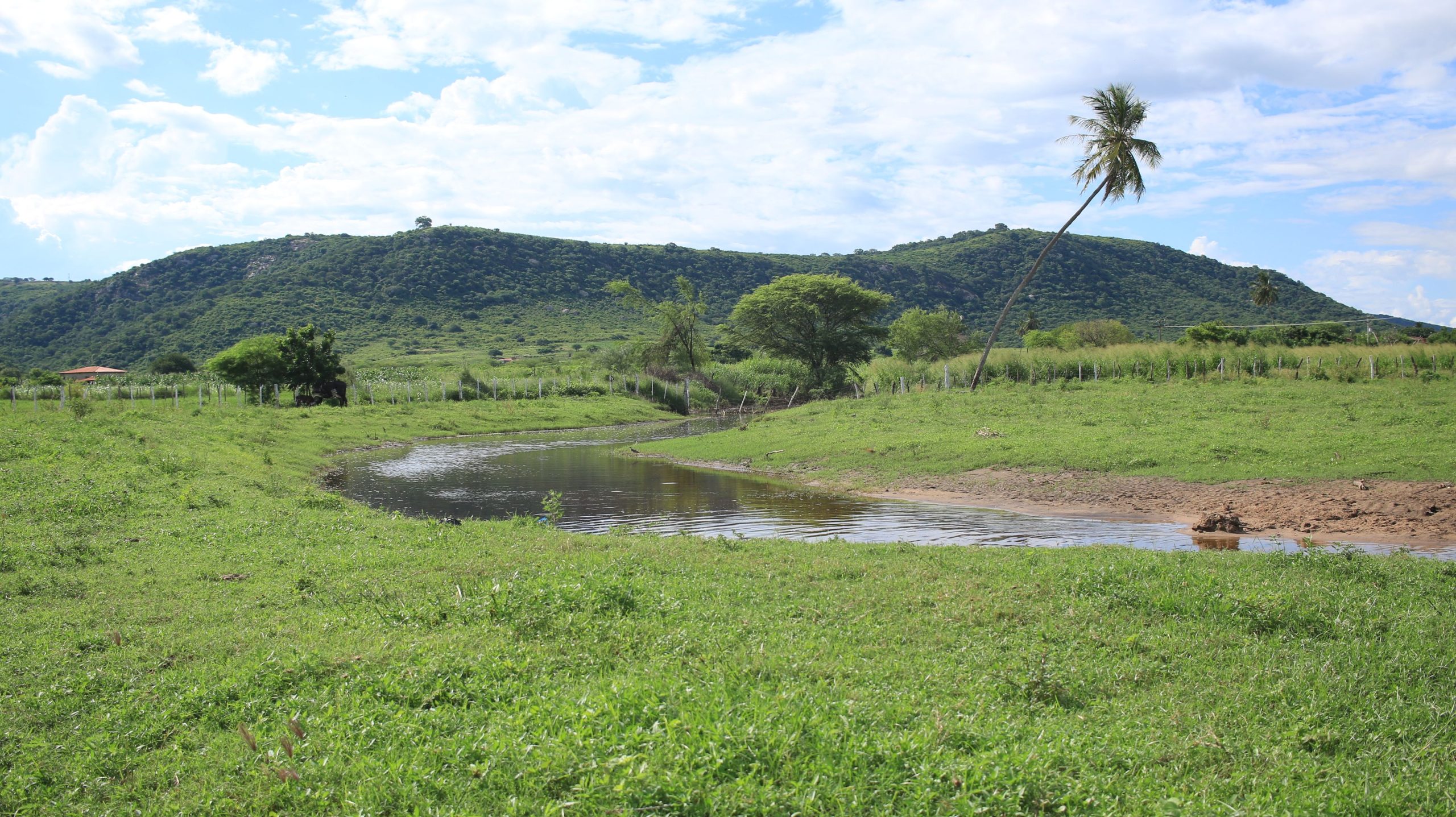 Llanos Orientales